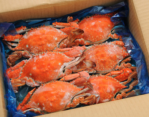 冷凍ゆでわたりかに(中)