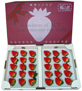 いちご特殊パック2Pセット