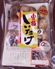 大分県産どんこ椎茸(袋)　40g