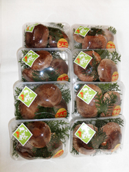 大分県産原木栽培生しいたけ