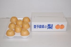 新高梨