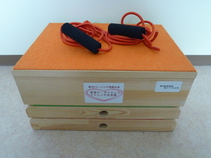 ダイエットお宝箱(マット付)