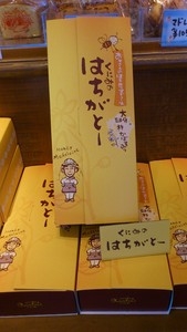 くにみのはちがとー(5個入り)