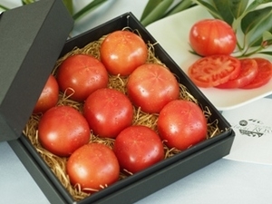 塩熟トマト Kitachi Rosso (キタチ ロッソ) [ 社会福祉法人 青山21