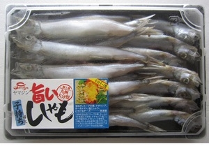 子持ちししゃも300g [ 株式会社 ヤマジン ] ｜物産おおいた(物産