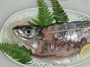 ぶんご冷凍活魚(アジ)活造り【刺身用】