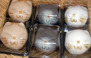 ⭐︎ここちぁ様専用出品⭐︎のびねこ43