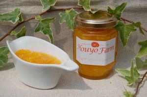 温デコ不知火のコンフィチュール