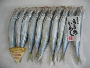 うるめいわし丸干し(大分産)
