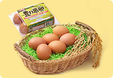 (有)鈴木養鶏場 ｜ 豊の米卵(6玉)